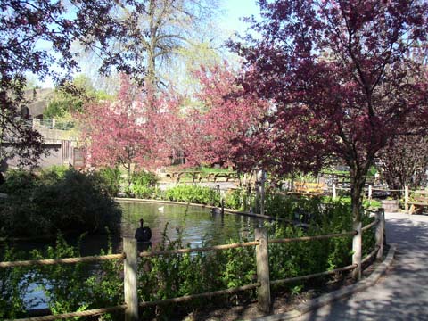 Zoo 2003
